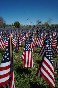 Vibrant display of American flags waving in a field under a clear blue sky, symbolizing patriotism.